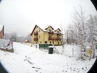 Sasanka