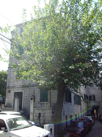 Studio Apartment Sretna