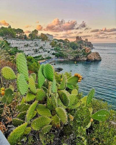 Fabiene Familyholidays Deluxe Plus