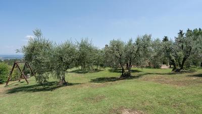 L'Oliveta 6, Emma Villas