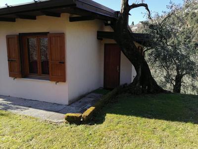 Casetta delle olive