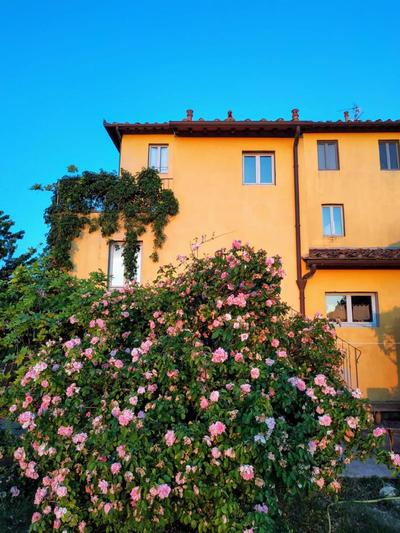 Poderi in Chianti