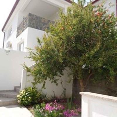 Apartments in Lopar - Insel Rab 40853