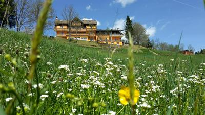 Hotel da Barba B&B