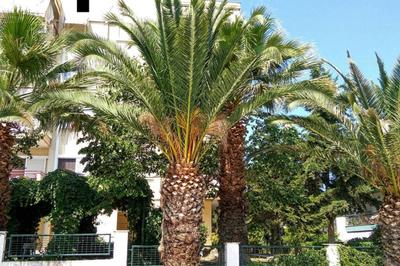 3BR Suite 300mts from the Beach