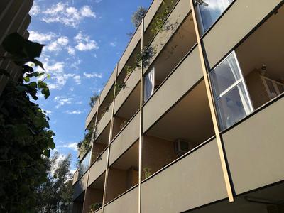 Delmirani's Book Apartments - Vatican View