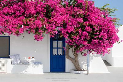 Aghios Artemios Traditional Houses