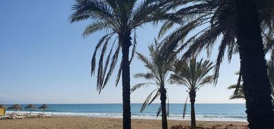 Apartamento Auténtico Playa