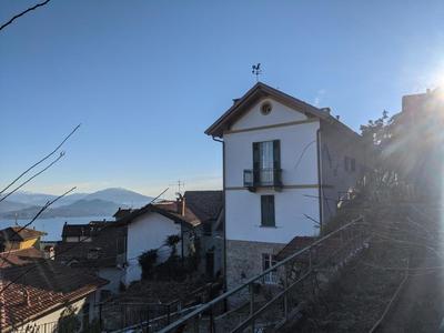 Ratto del Gallo