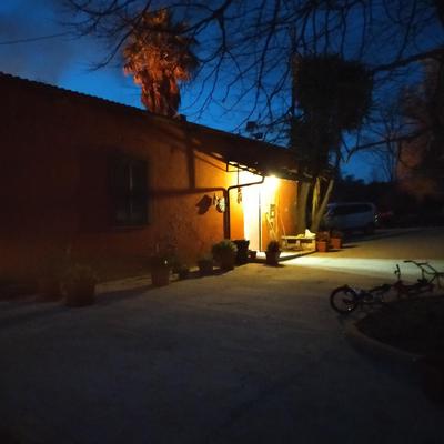 Il colle degli ulivi
