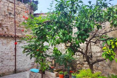 Casa Dei Fiori