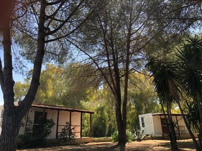 Residence Sa Pintadera