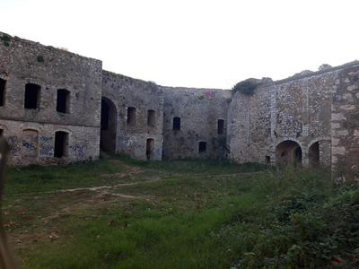 Nestor Sea Studio