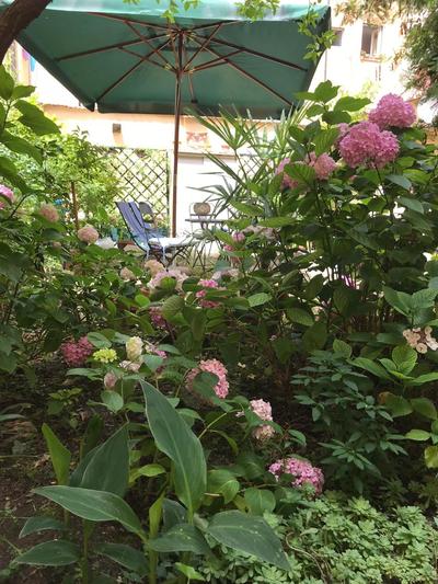 Cynthia's Garden - Apartment with private garden in Santa Croce