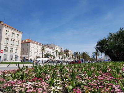 Split City Apartment Rosemary