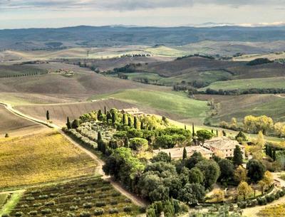Villa Buonsignori - Wine & Olive Oil Farm