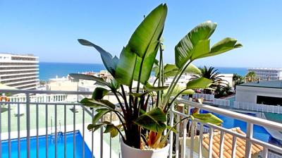 Seaview Retreat Torremolinos City Center, with pool and amazing views BY NAMASTE ELITE