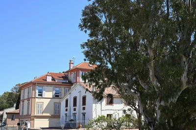 L'Arche de Porquerolles