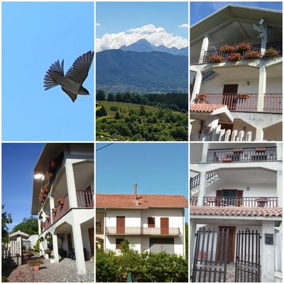 Il Nido Delle Rondini