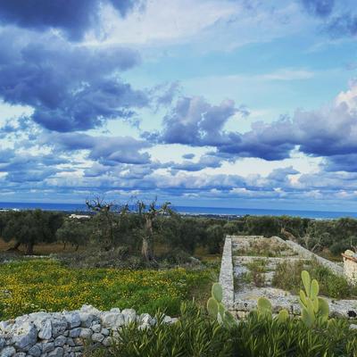 La Guendalina Masseria e Casa Particular