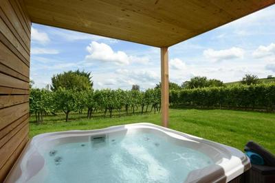 Clos des Vignes