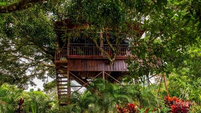 Hotel Heliconias Nature Inn & Hot Springs