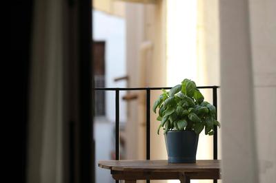 Turna Apartment