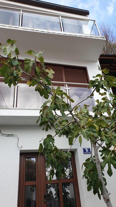 ARTIST`S HOUSE Baška