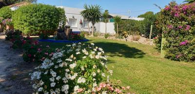 Finca Las Dunas con dos Chalets con jacuzzis en primera linea de playa uno de 4 dormitorios y otro de 2 dormitorios