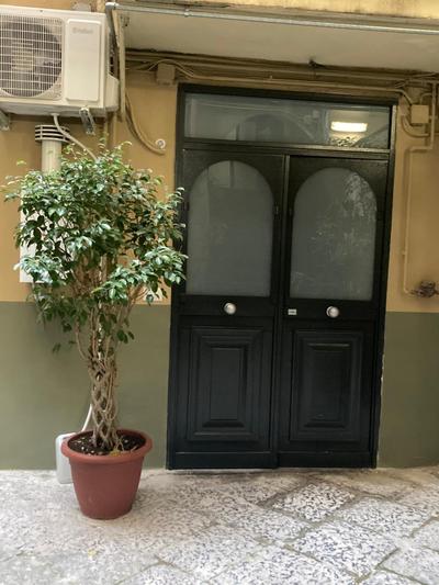 Zuccarella ''Zuccherino''nel cortile