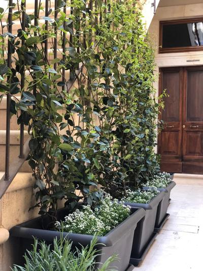 Albergo Diffuso Ginevra Boutique Rooms - Palazzo Leosini - Residenze D'Epoca