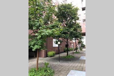 Apartment in Milan - Bicocca Near University