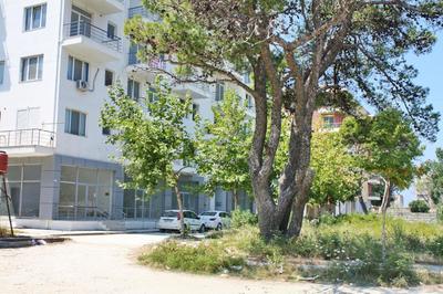 Eirik's beachfront apartments & penthouse