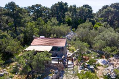 Robinson house''La Vida''
