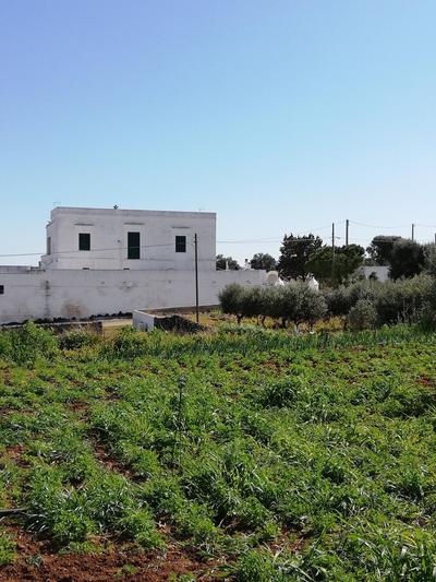 Masseria Ricci
