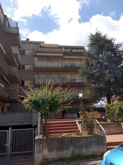 Carmen House