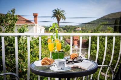 Apartments Villa Roza