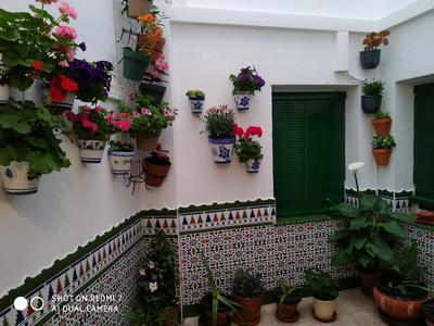 Alicante-Rental Alojamientos Turisticos CULTURAS Y COLORES EN ALMAGRO -Parking -Promocion EMPRESAS-