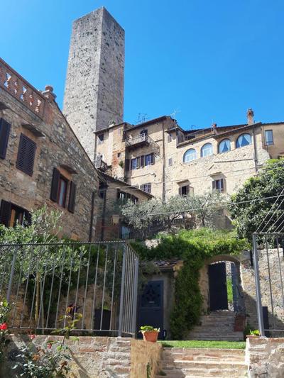 The Tower's Garden