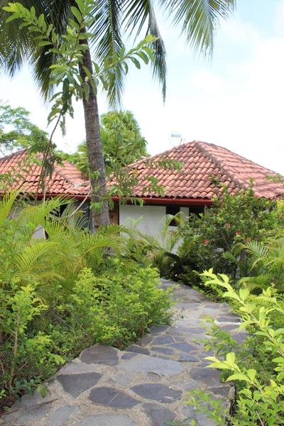 Finca Los Caballos Montezuma