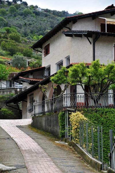 Le Rose