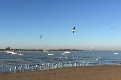 Sanluquear en el Guadalquivir