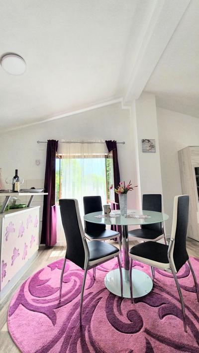 Apartment Jelena Sutvara