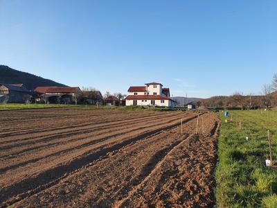 Apartmani Fenestra Tesla i Faust