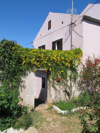 Apartments Anita