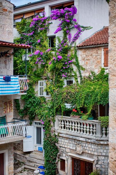 B&B Villa Vis