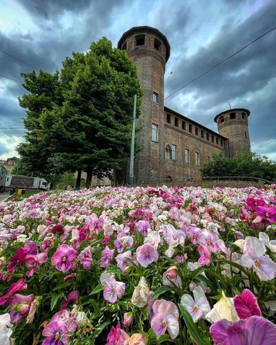 B&B Carlo Alberto