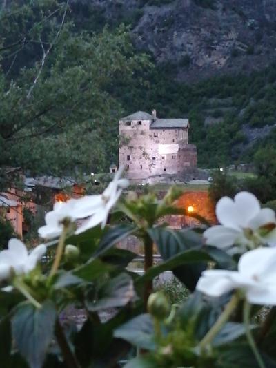 Il nido di Lele e Schina