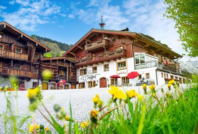 Pension Seighof - Geschichte zum Anfassen seit 1366 - inkl Bergbahnen im Sommer - regionales Frühstück - Bergpanorama - Joker Card