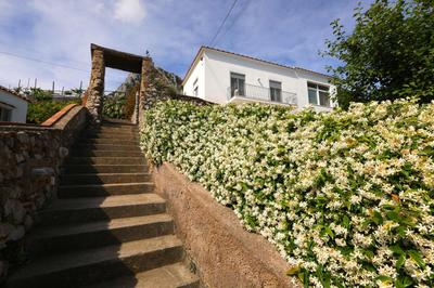 My home Capri seaview